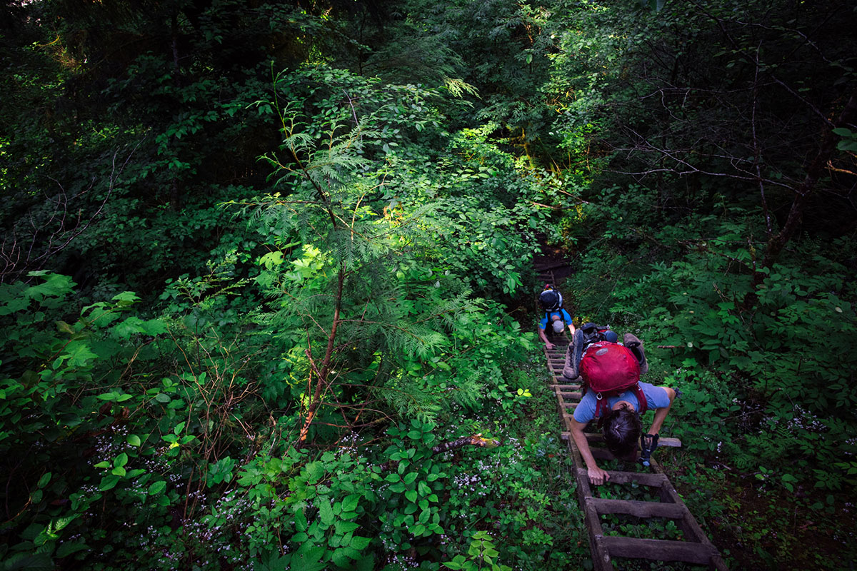 West Coast Trail (ladder 3)